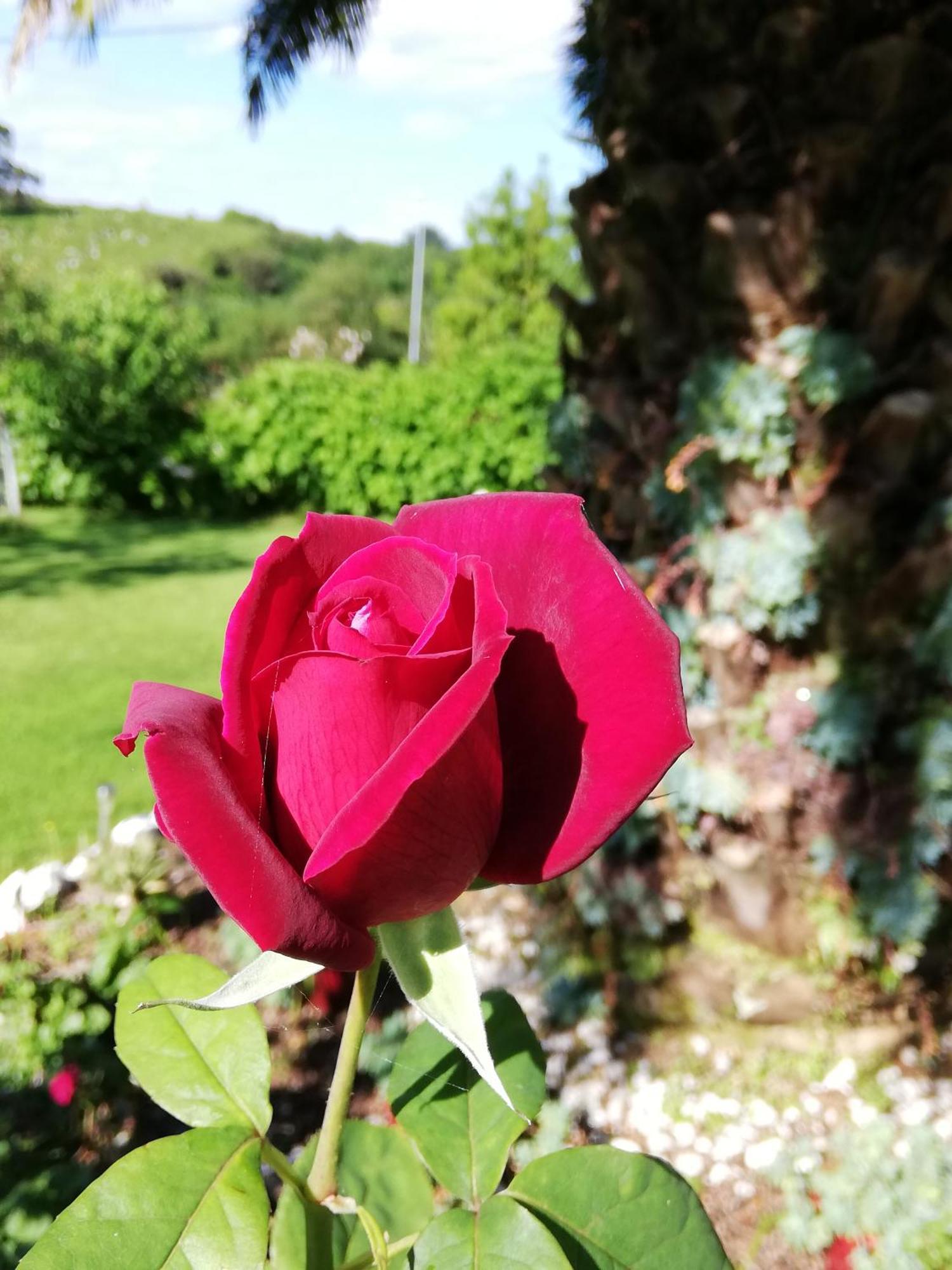 Vila Garman Llanes Pokoj fotografie